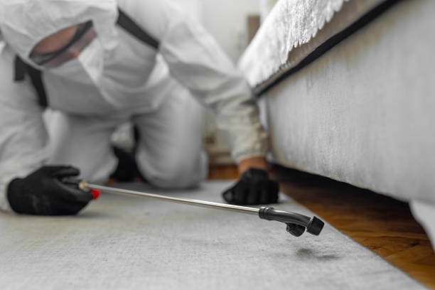 Professional Bed Bug Control technician working in Canadian Lakes, MI