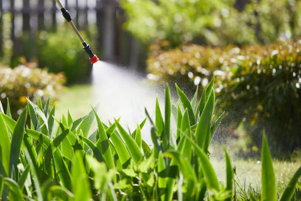 24/7 Emergency Bed Bug Control experts in Canadian Lakes, MI