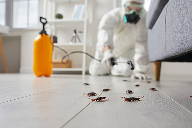 Trusted Rodent Control service in Canadian Lakes, MI - Nex Pest Control
