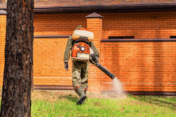 Trusted Emergency Pest Control service in Canadian Lakes, MI - Nex Pest Control